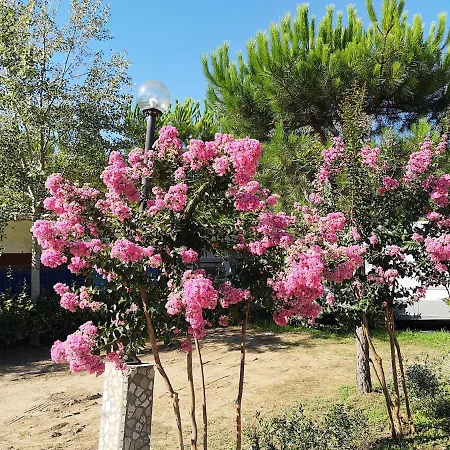 Campsite Mobile - Camping Paradiso- Including Airco -zona Gialla 016